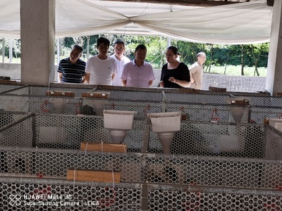 科技兴农，服务到家——贵州省农科院家禽技术服务助力产业升级