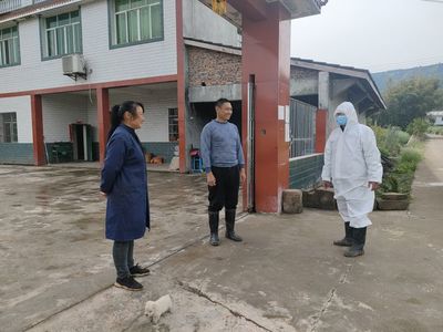 家禽疫苗接种上门服务 专业便捷的健康守护方案