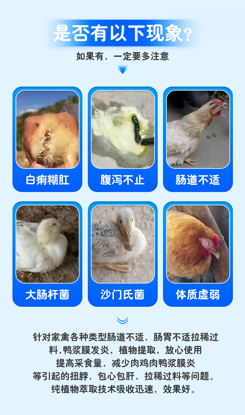 雄牧杆舒混合型饲料添加剂 家禽养殖的常备优选