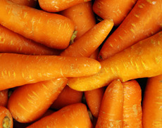 郴州亿康绿色农产品开发 打造全产业链农业服务新模式